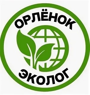 Урок по треку "Орлёнок - эколог" в ЛДП "Радуга" Урок по треку "Орлёнок - эколог" в ЛДП "Радуга".